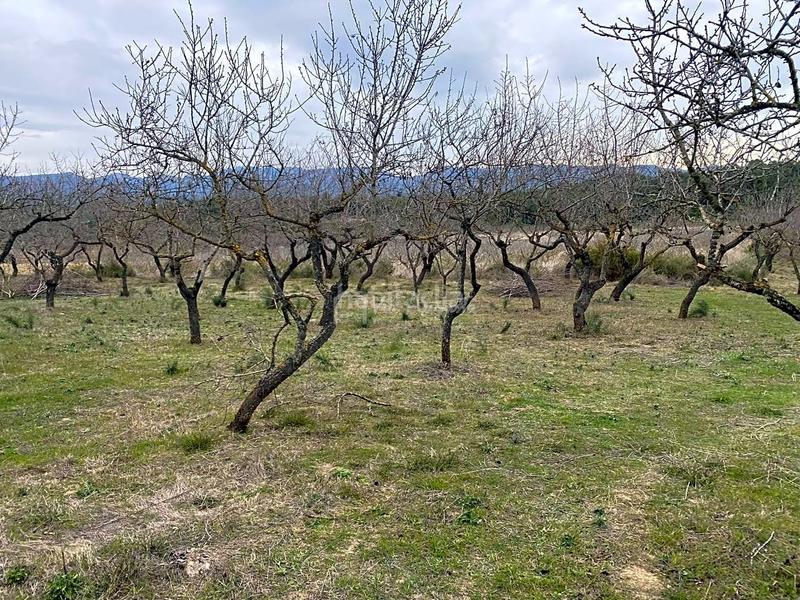 Foto 62c69cea-d85a-480d-8d64-9f5f68f7b0dc. Finca rústica a Rasquera