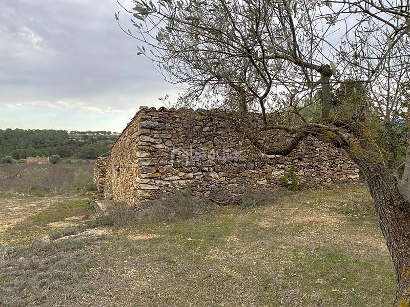 Foto 914f33f1-4d96-4951-83e3-d2f79ff05fed. Finca rústica a Rasquera