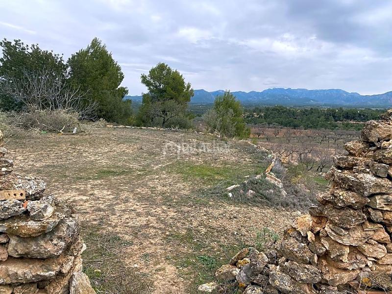 Foto d3d73b4d-0415-4bea-93c0-bb1242867144. Finca rústica a Rasquera