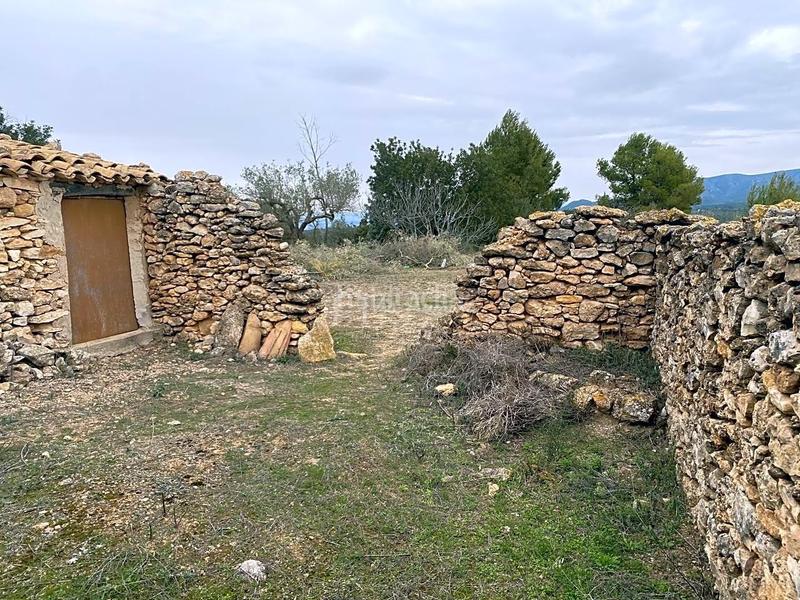 Foto d3fd67b6-ea54-4c16-a21f-430bb97cad8a. Finca rústica a Rasquera