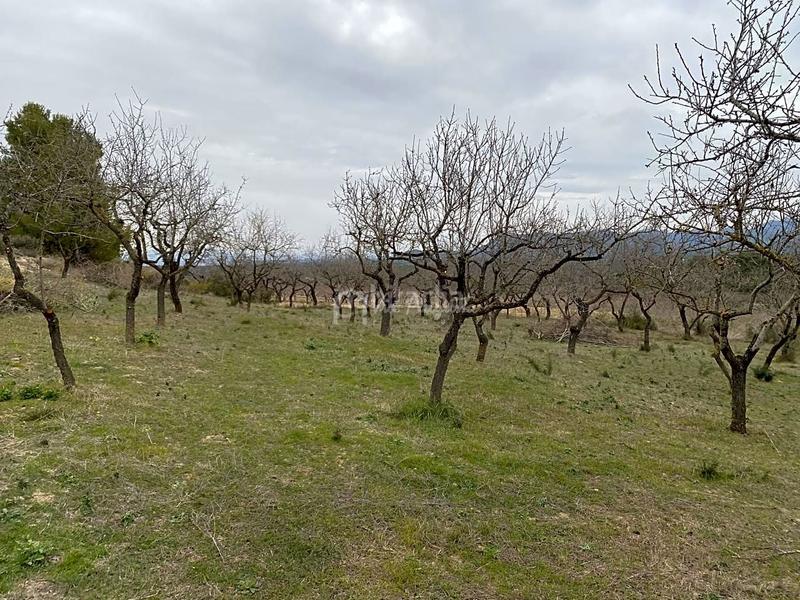 Foto e457ea1f-dcaf-4dd6-a4d1-35420d96d0a8. Finca rústica a Rasquera