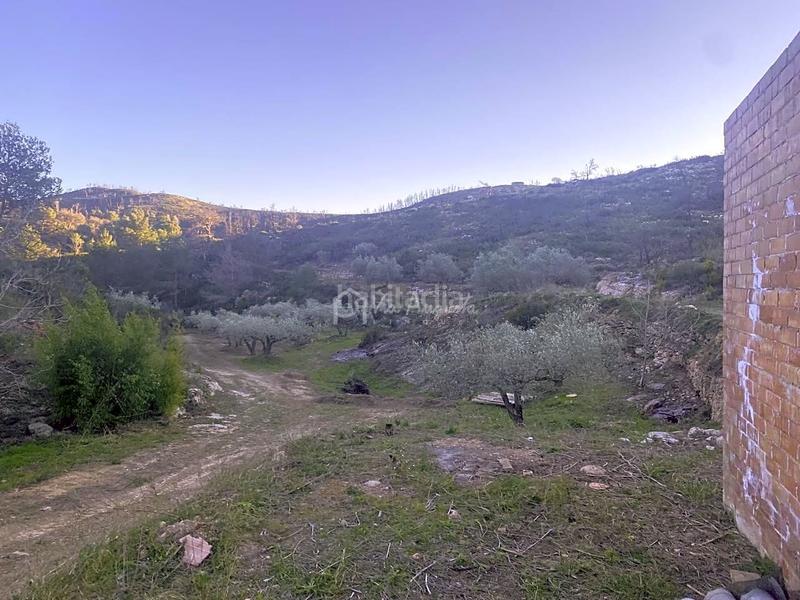 Foto 76ffd115-4503-40fc-afab-969b2b86f870. Finca rústica a Perelló (El)