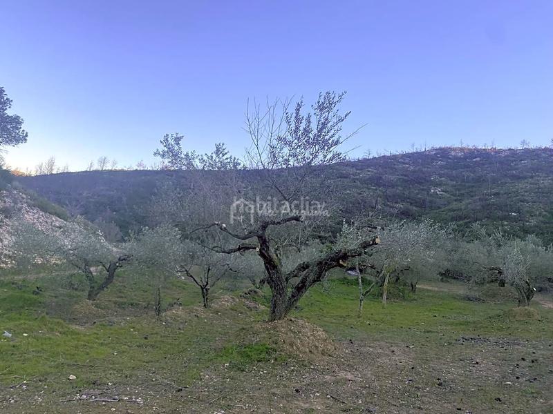 Foto 7b1ac081-5d75-4043-9492-d59e7bafd464. Finca rústica a Perelló (El)