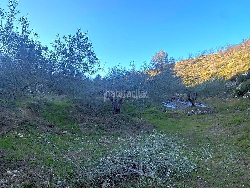 Foto a97334dc-64c8-47d0-bde5-f35da21cac73. Finca rústica a Perelló (El)