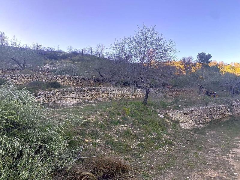 Foto b7b1fc12-2901-4766-b846-55eceb887a9a. Finca rústica a Perelló (El)