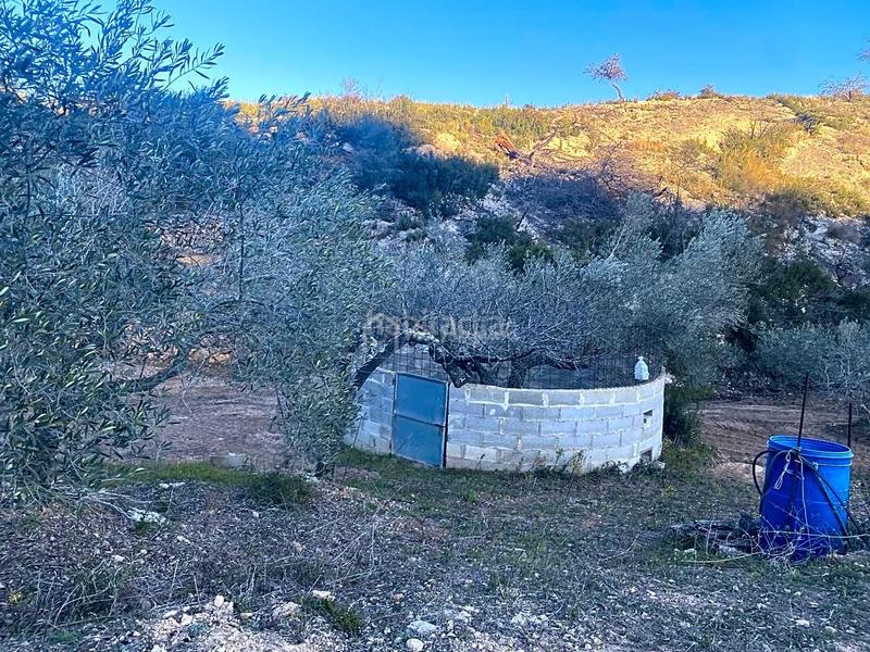 Foto d0652d3a-34ef-4564-97a1-7702d9b330e8. Finca rústica a Perelló (El)
