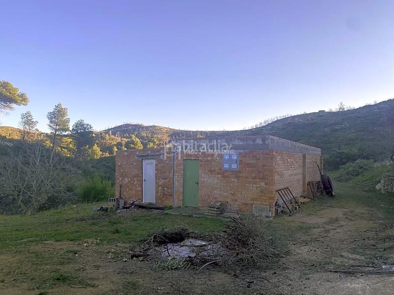 Foto f1319732-3e5e-44e6-8841-ffbca11cd530. Finca rústica a Perelló (El)
