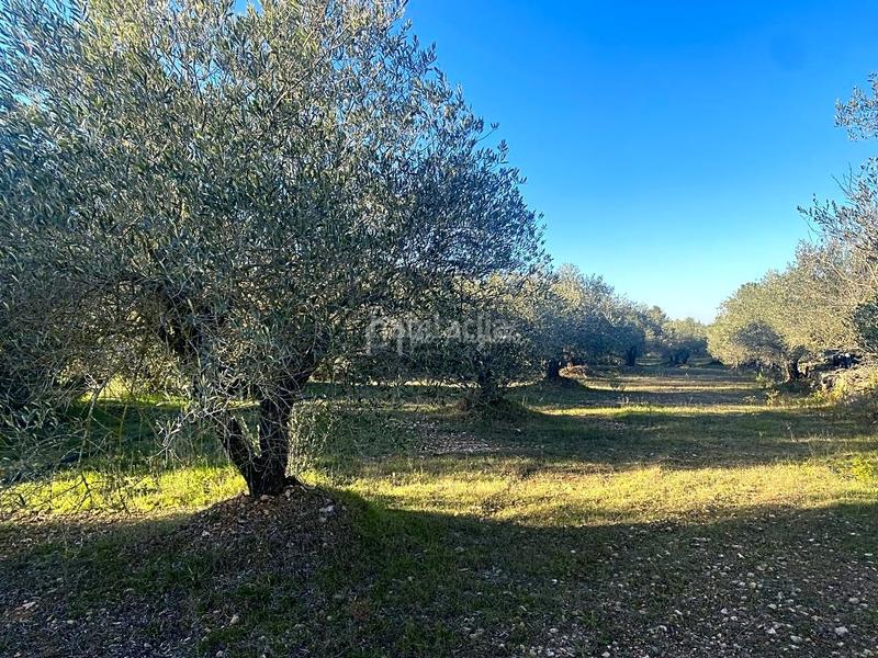 Foto 617b268a-3847-4580-8179-4cde2b330482. Terrain résidentiel dans Perelló (El)