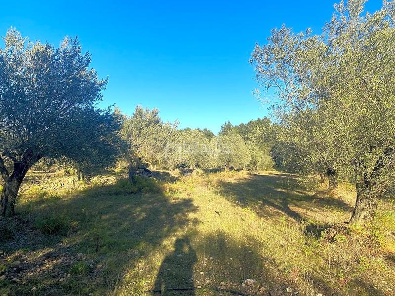 Foto 6f23fc8e-9291-4225-b020-7b1a81f79a3d. Terrain résidentiel dans Perelló (El)