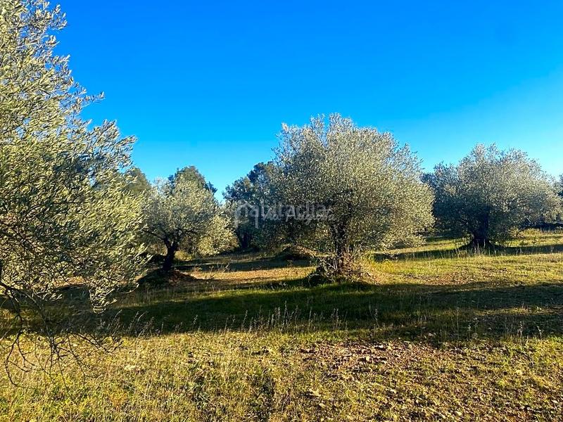 Foto 7333dedf-8c09-4be6-9d0f-5dbf8a6e0f3a. Terrain résidentiel dans Perelló (El)