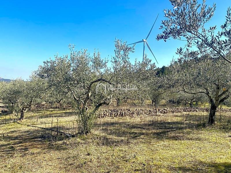 Foto 0d45716f-8b82-4961-aa65-07e3562beb18. Rural plot in Perelló (El)