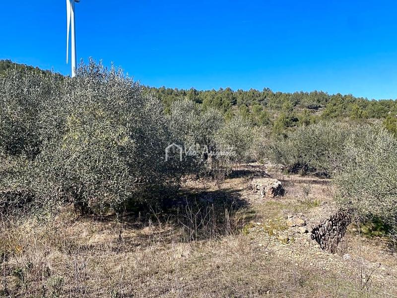 Foto 867fbaad-c03e-41d1-a804-a5587beeb91c. Rural plot in Perelló (El)