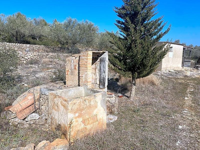 Foto b9a172bf-ed92-40b6-ac87-c02dbabc2830. Finca rústica a Perelló (El)