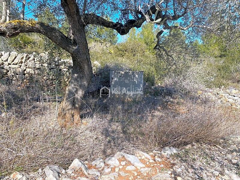 Foto e0e64dae-87f9-4bcc-88e3-eaf9d08661f3. Finca rústica a Perelló (El)