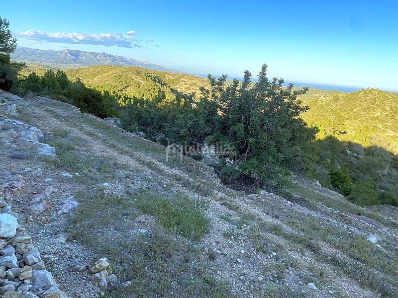 Foto adb9aa00-3b94-4633-a18b-c9c28f271d29. Finca rústica a Perelló (El)
