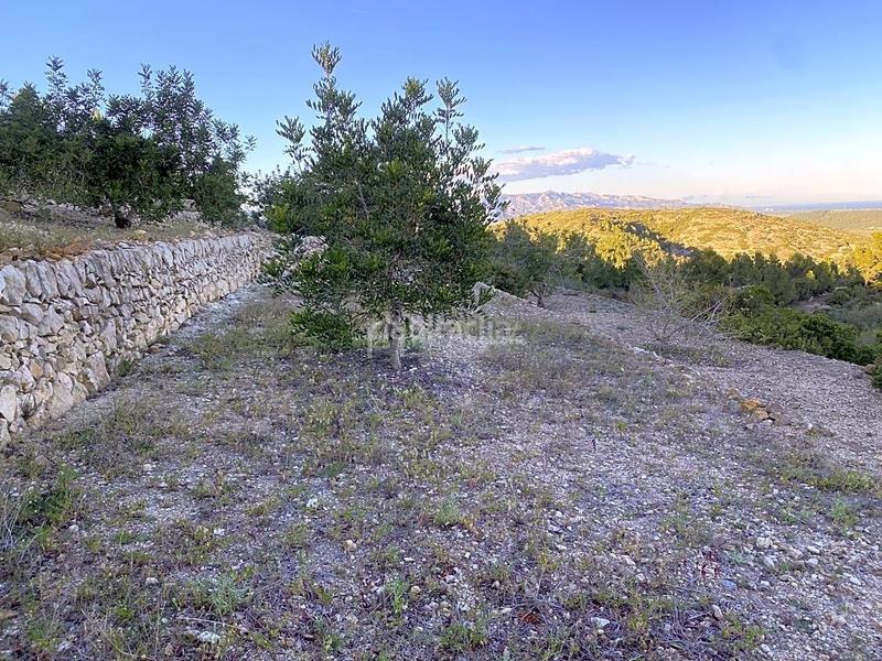 Foto e4d02a04-ebe5-4c34-ae3f-5f94a455850b. Finca rústica a Perelló (El)