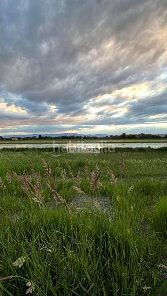 Foto 4bef06db-4dad-4c53-a588-9e81ee3a44bf. Casale in Zona Hospital Amposta