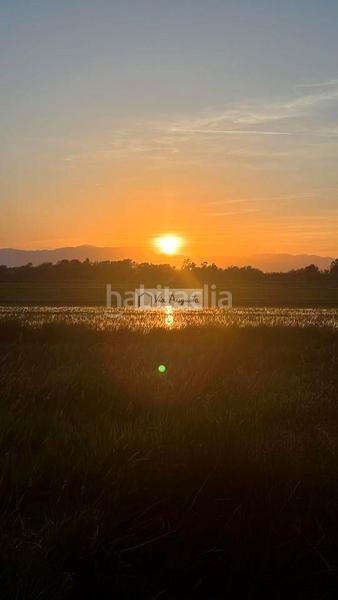 Foto 783610f1-f107-4b1c-994b-41aac3ca63fc. Masia a Zona Hospital Amposta