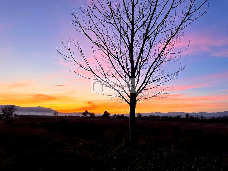 Foto a4441f03-7d32-409e-ade8-2e6201b316c7. Masia a Zona Hospital Amposta