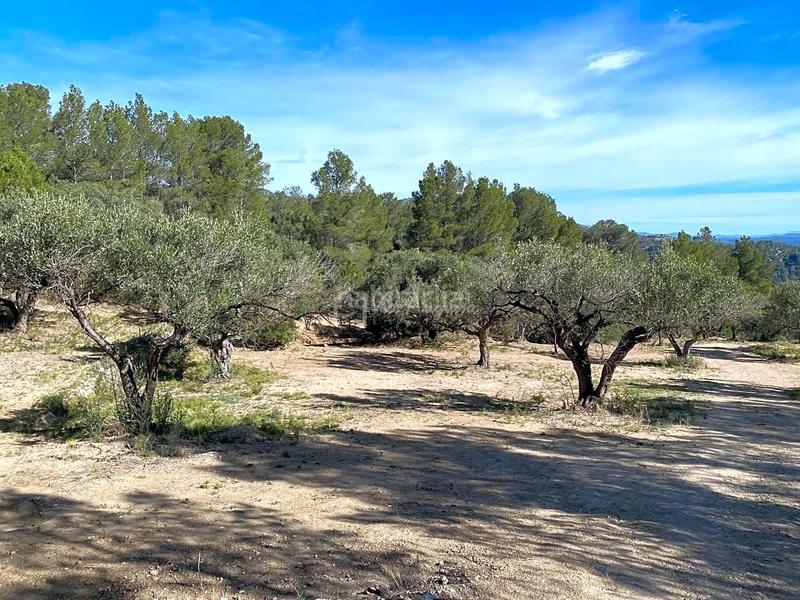 Foto 032b778c-92ea-46d7-9cb2-4dac5a52cc0c. Rural plot in Xerta