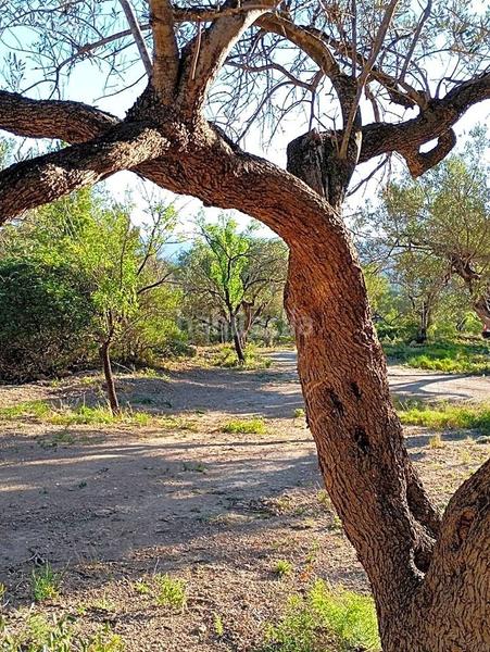 Foto 1a4a44ef-72d1-4eb3-950b-d9803919d51f. Rural plot in Xerta