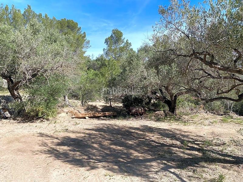 Foto 302af450-a1fe-4bcd-989e-9080877d1256. Rural plot in Xerta