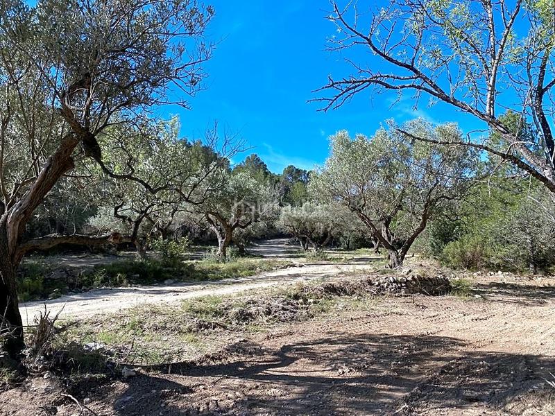 Foto 6e3c26b5-3df2-4e18-b3d9-9478a8d5b713. Rural plot in Xerta