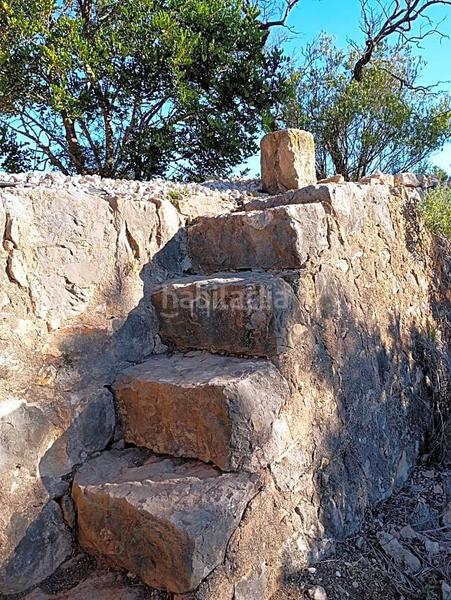 Foto c9365cc5-b1c9-4536-a2ed-381e503a9ad8. Rural plot in Xerta