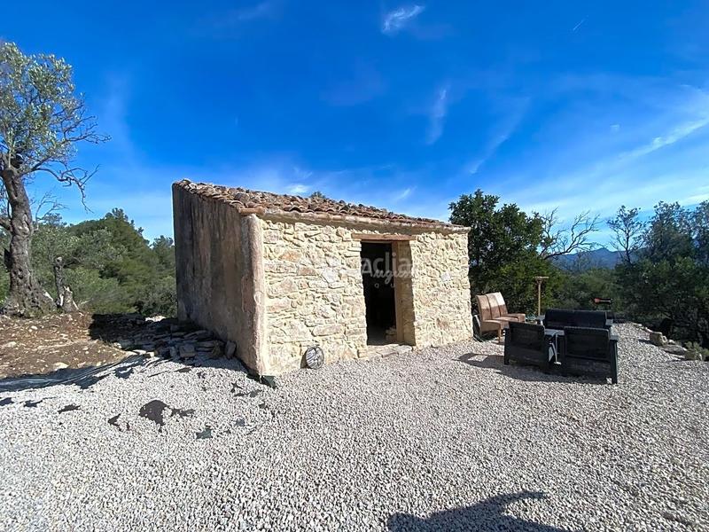 Foto dca0fdd5-b7cc-43b8-8e37-3881a572f25b. Rural plot in Xerta