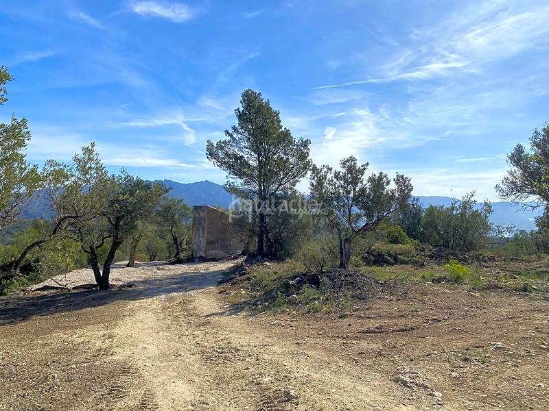 Foto f05beed1-4dac-4c00-9950-42901c257731. Rural plot in Xerta