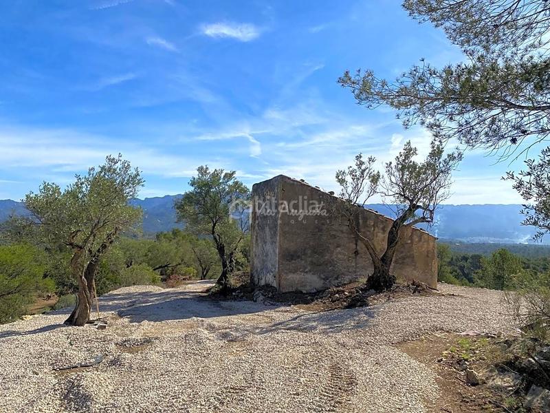 Foto 26db6b67-9952-4857-949f-150ad8551d3d. Finca rústica en Xerta