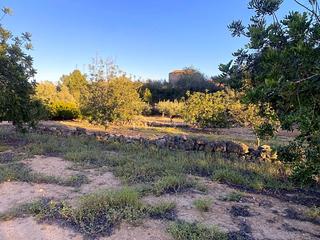 Finca rústica  Baldiras