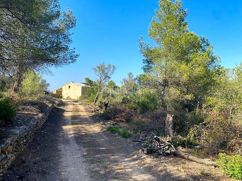 Foto 28cdc4ec-be91-45c1-91ca-0a94d7b44063. Finca rústica  con construcción de 95m2 a reformar en Rasquera