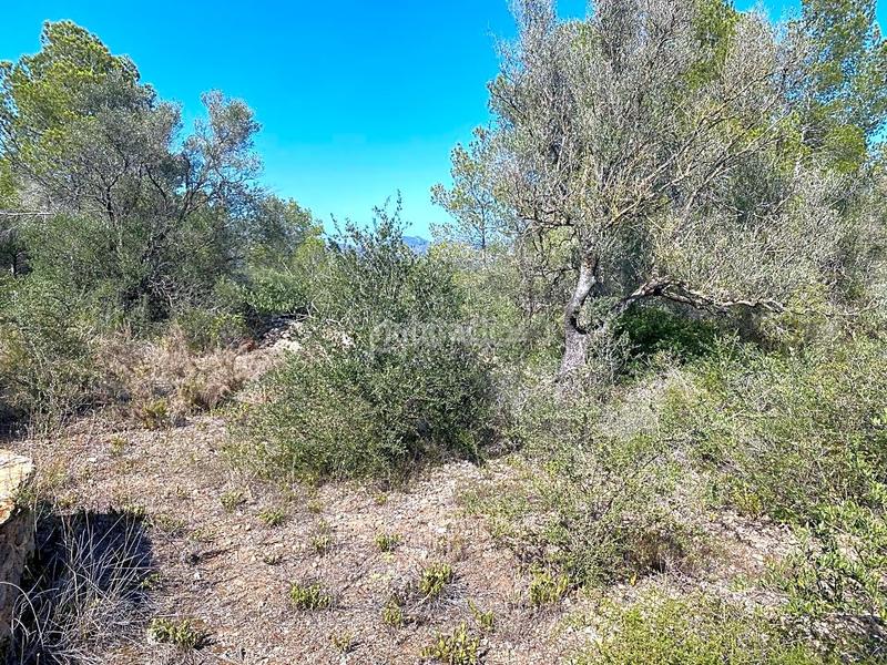 Foto 4d188aff-1de6-45be-94b5-39abfa3a9c18. Finca rústica  con construcción de 95m2 a reformar en Rasquera