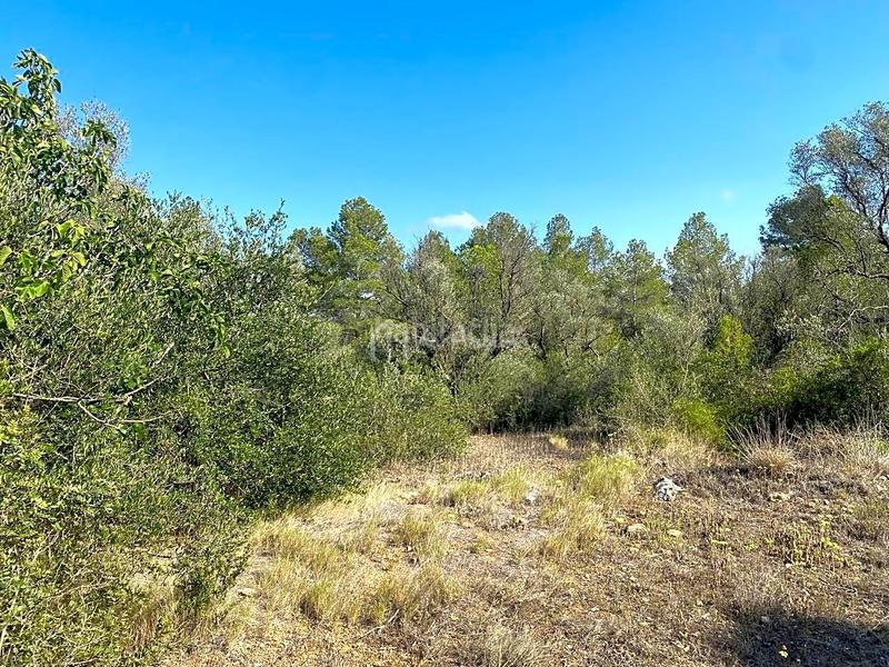 Foto e55f2530-3977-4471-964e-f7d96a00d901. Finca rústica  con construcción de 95m2 a reformar en Rasquera