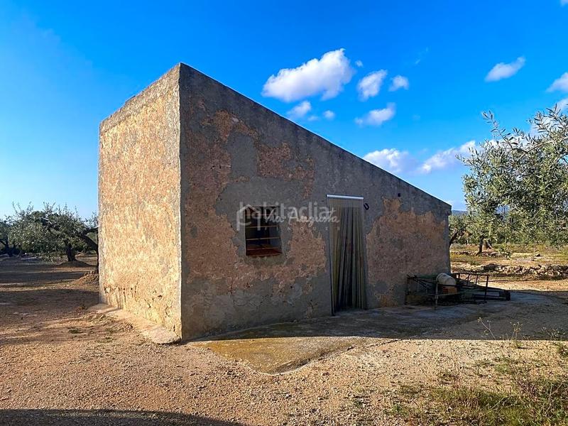 Foto 96423052-ac42-47f6-8a07-a5030e25ea21. Finca rústica a Perelló (El)