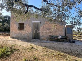 Finca rústica  Burgà