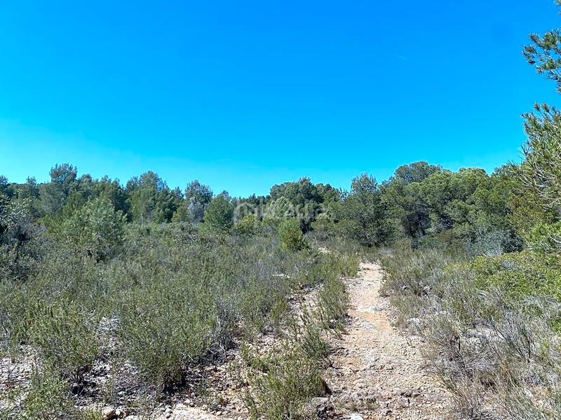 Foto 04160000-7541-454d-90cc-8d15fe39ac09. Terreno residencial en Roques Daurades-L´Estany Ametlla de Mar (L´)