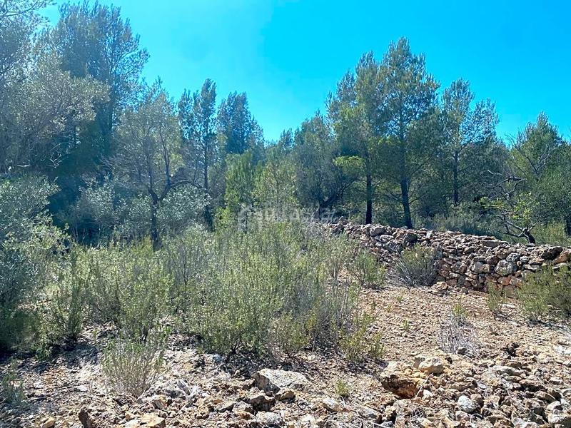 Foto 08ff2db4-e253-43c5-80fc-7885eca88460. Terreno residencial en Roques Daurades-L´Estany Ametlla de Mar (L´)