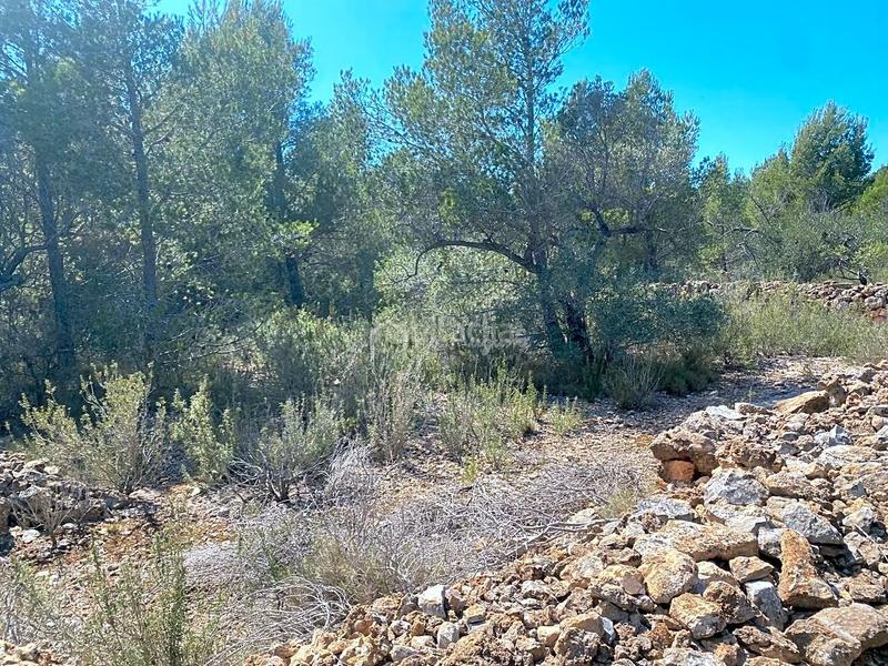 Foto 1afa0def-b5f0-4291-b3b8-e25c4924f4a4. Terreno residencial en Roques Daurades-L´Estany Ametlla de Mar (L´)