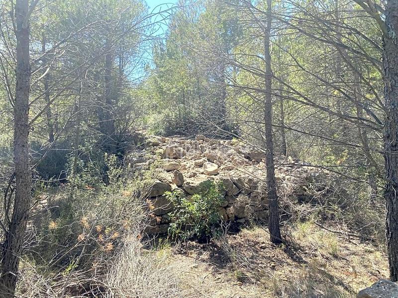 Foto 515b0ad8-8604-463c-b590-308e919526c2. Terreno residencial en Roques Daurades-L´Estany Ametlla de Mar (L´)