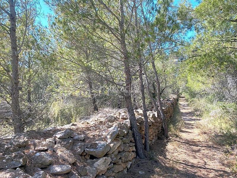 Foto 84753a4a-b5f5-4117-9790-db8848241532. Terreno residencial en Roques Daurades-L´Estany Ametlla de Mar (L´)