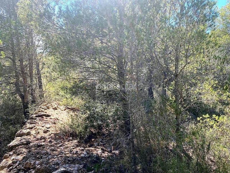 Foto f16de2eb-6ca0-420a-b63f-1325cab54c30. Terreno residencial en Roques Daurades-L´Estany Ametlla de Mar (L´)