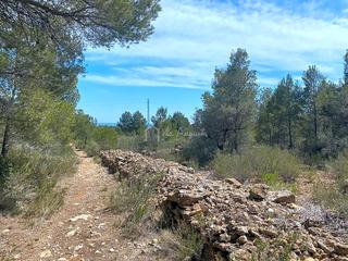 Residential Plot  Carrratillana