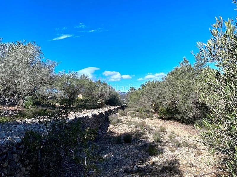 Foto c2244839-2d79-4de9-b525-494d4e93675a. Fondo rustico in Perelló (El)