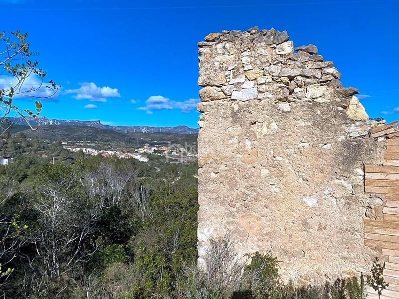 Foto eecd60be-e7d4-44ad-9593-d4a4cb028061. Fondo rustico in Perelló (El)