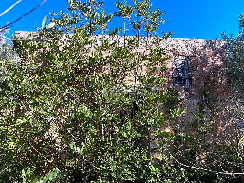 Foto f2c3f96a-19b3-4aee-8d09-b3a39f911705. Fondo rustico in Perelló (El)