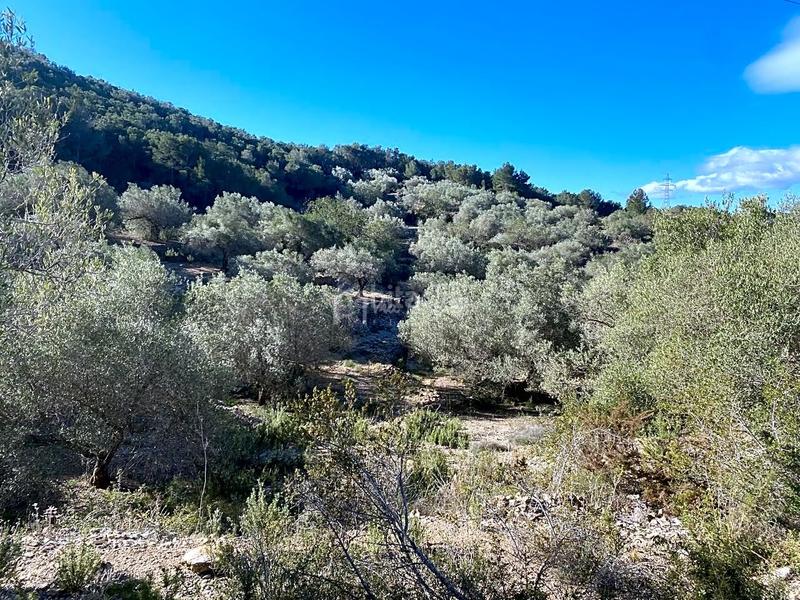 Foto 39af2c7b-e779-4fda-baf4-8dd87466c307. Landgut in Perelló (El)