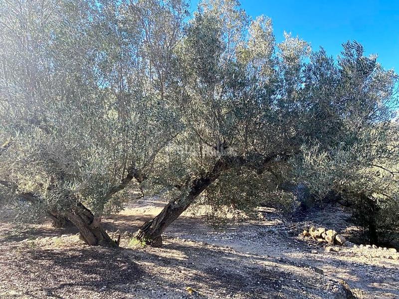 Foto 4cc18ca8-8edb-4009-9081-75c02245c82d. Landgut in Perelló (El)