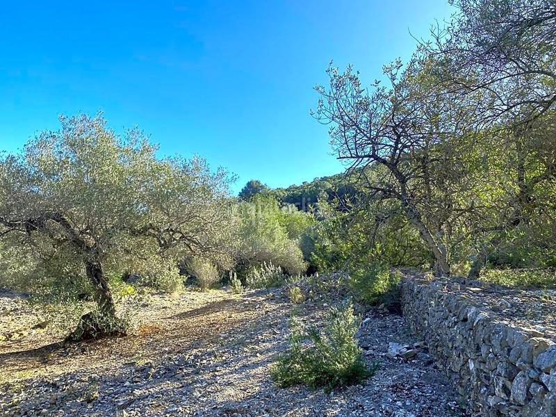 Foto 7c2de2ea-8d86-4145-83dc-ec226112269f. Landgut in Perelló (El)